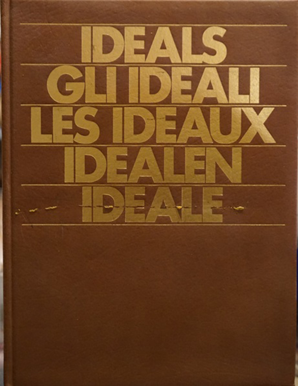 1000000065343.jpg 1000000065343.jpg